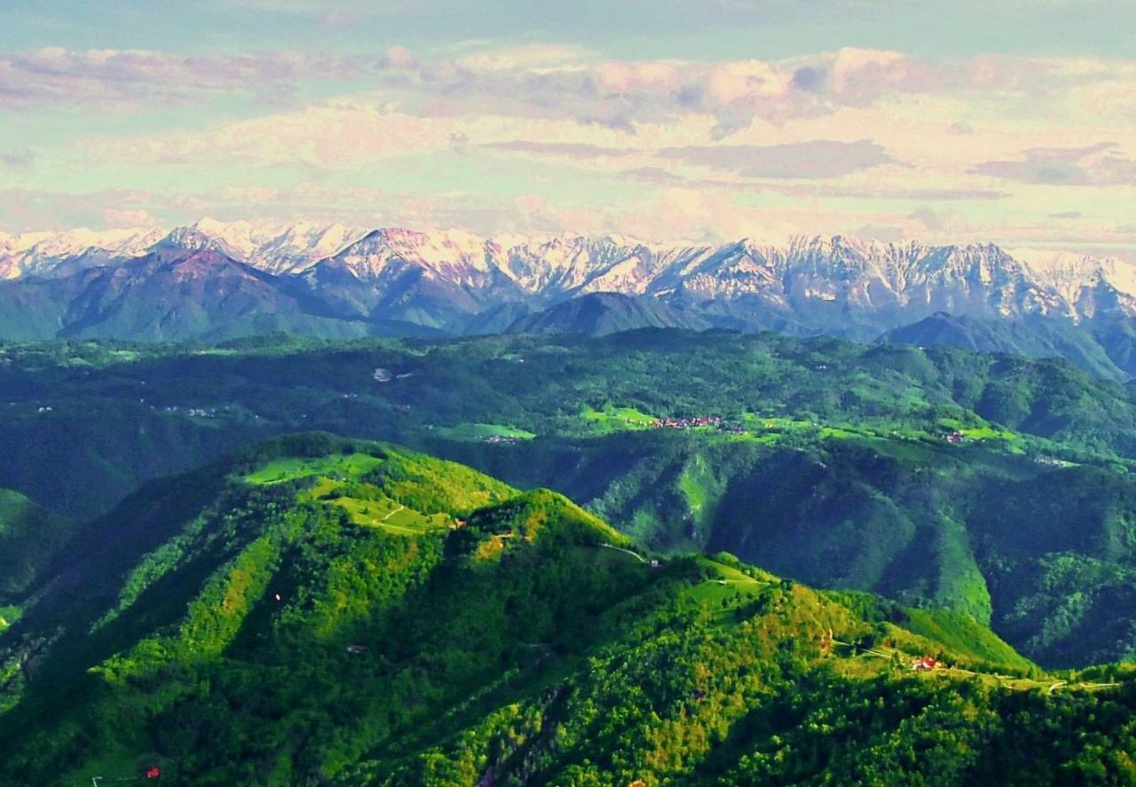 Apartma Alpski Vrt Vojsko エクステリア 写真