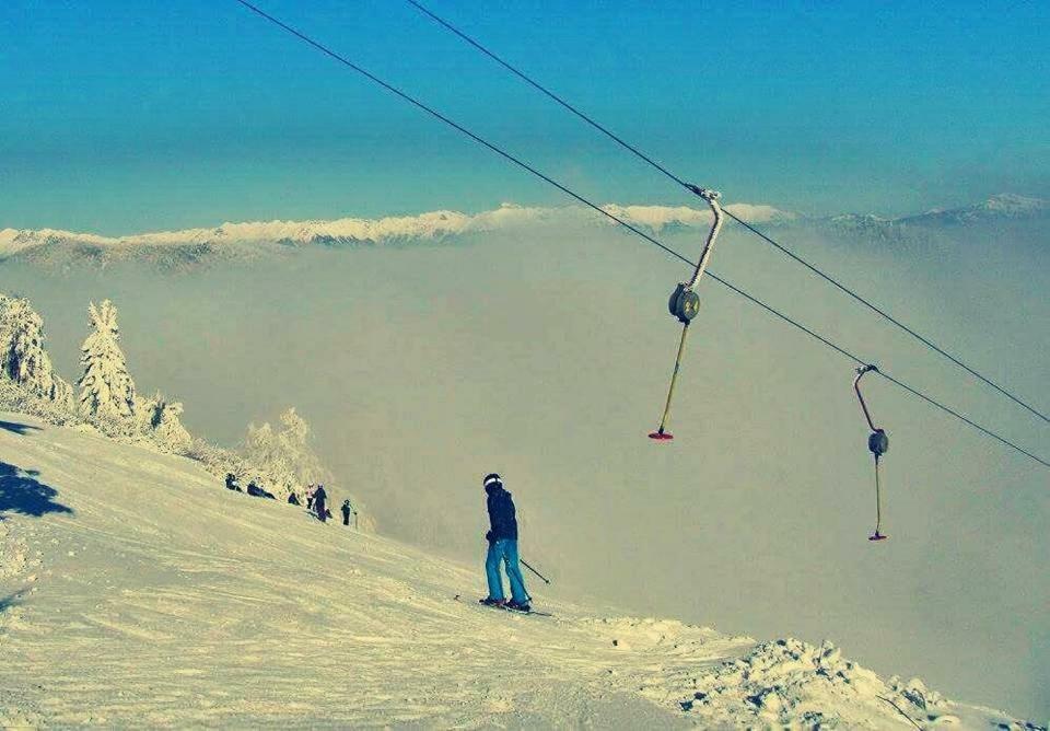 Apartma Alpski Vrt Vojsko エクステリア 写真