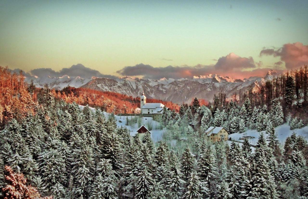 Apartma Alpski Vrt Vojsko エクステリア 写真